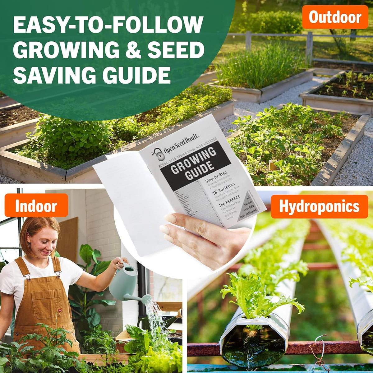 Vegetable & Fruit Seeds, 32 Packs, Non-Gmo, 15,000+ Seeds