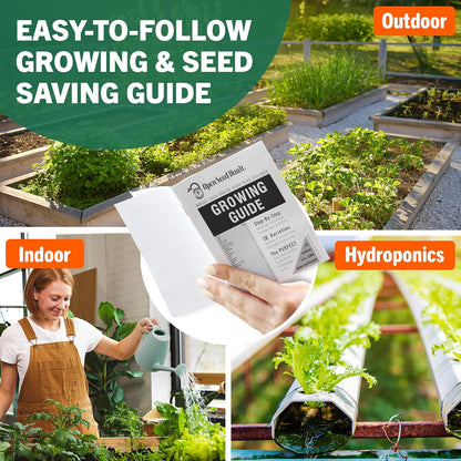 Vegetable & Fruit Seeds, 32 Packs, Non-Gmo, 15,000+ Seeds